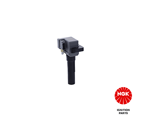 uitlaatklep (40x8x191,7mm) past: VOLVO A, B12, FH12, FL12, NH12 D12A340-D12D420 01.91-