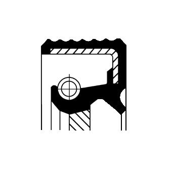 Oliekeerring transmissie