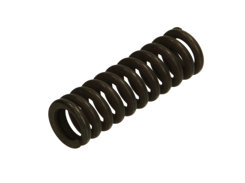 Reparatieset versnellingspook (Veer van de versnellingspook) ZF ECOLITE S 6 36+GV 36