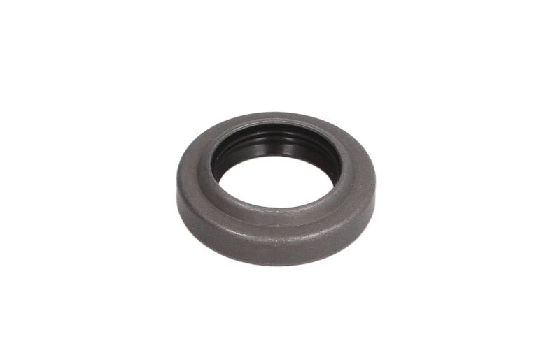 Achteras pruttelt (28x45x8/11mm)