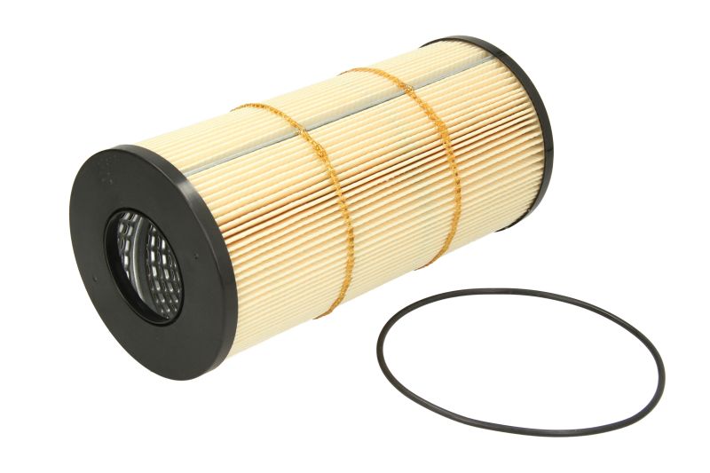 Brandstoffilter (patroon)