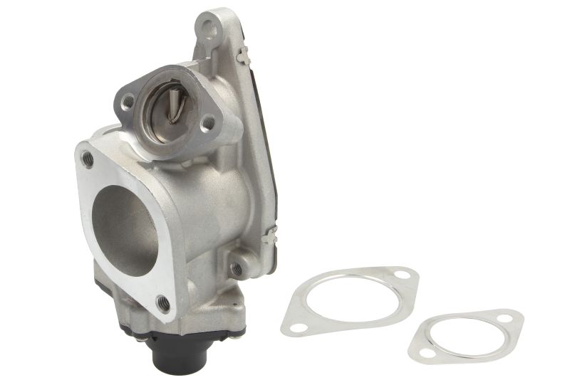 EGR-klep past: RENAULT GRAND SCENIC II, LAGUNA II, MEGANE II, SCENIC II  SUZUKI GRAND VITARA II 1.9D 03.01-
