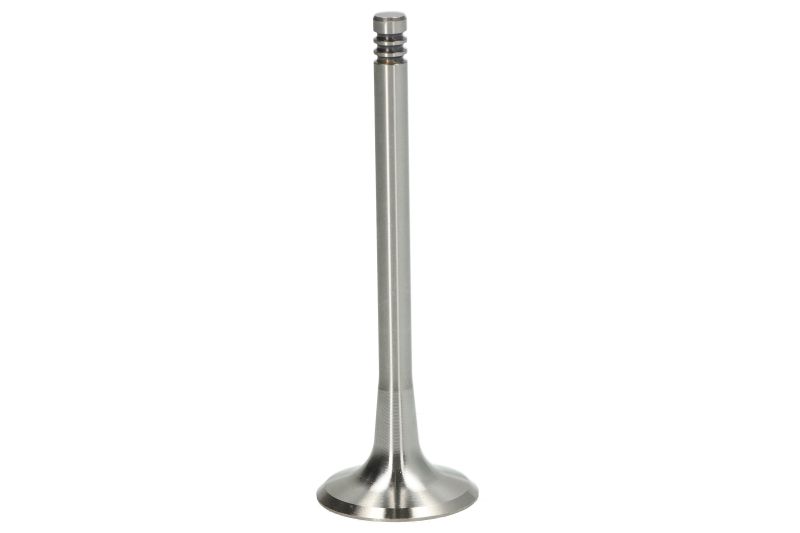 inlaatklep (29,2x6x87,8) past: AUDI A3, A4 B7, A6 C6  MITSUBISHI GRANDIS, LANCER VIII, OUTLANDER II  SEAT ALTEA, ALTEA XL, LEON, TOLEDO III  SKODA OCTAVIA II, SUPERB II  VW GOLF PLUS V 2.0D 02.03-