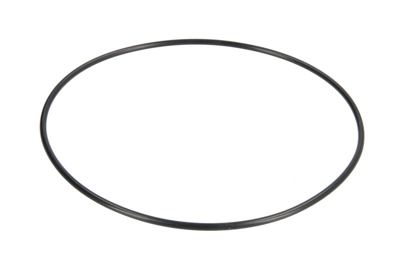 Differentieel element (o-ring, as) ZF AV 133