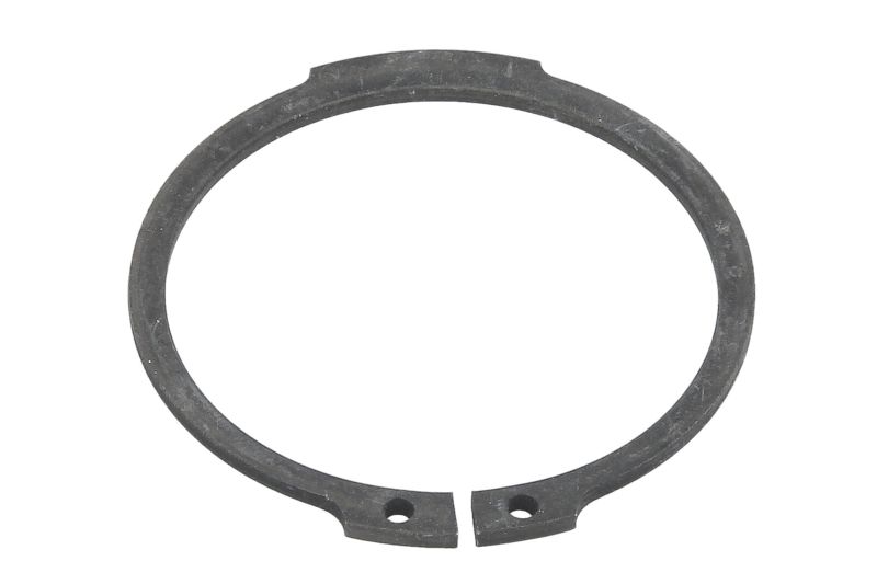 Circlip ZF