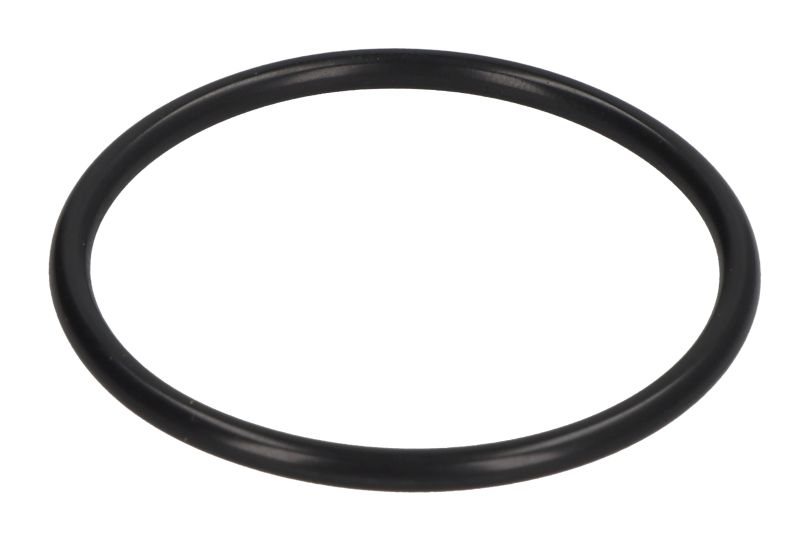 Differentieel element (o-ring)
