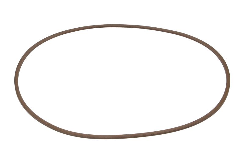 Differentieel element (afdichtingsring)
