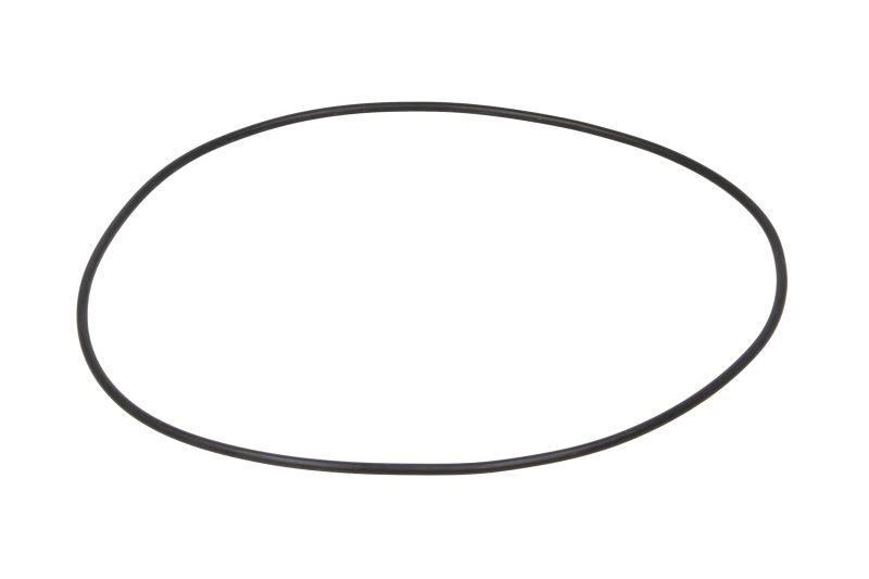 Differentieel element (o-ring)