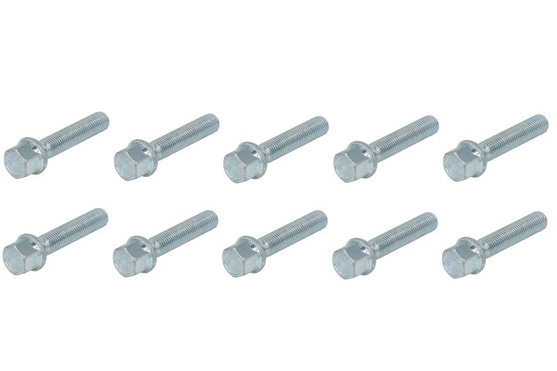 Schroeven en pinnen, M12x1,5 lengte: 55 mm sleutelwijdte: 17 (10 stuks. pak A/G kogelvormig)