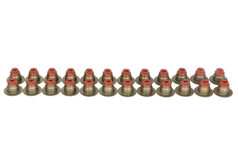 Klepsteel pakking/afdichtings set