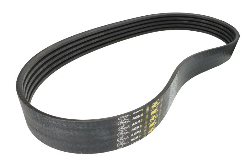 V-snaar aantal ribben: 5, wig breedte: 17mm, wig hoogte: 11mm, standaard lengte: 2450mm, riemprofiel B